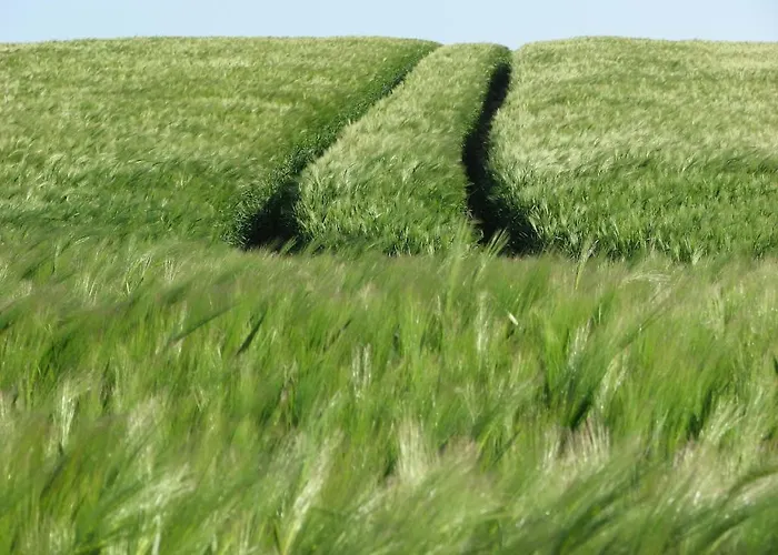 Duenenhaus * Sellin (Rugen)